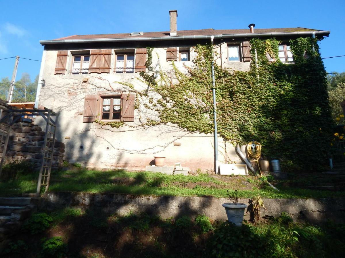 Villa Le Petit Biscuit Dabo Exterior foto